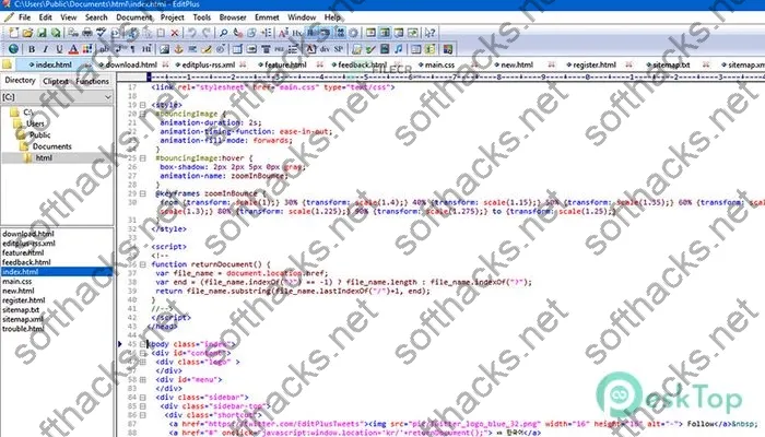 Es Computing Editplus Crack