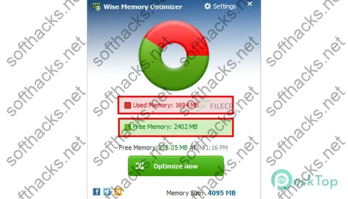 Wise Memory Optimizer Crack