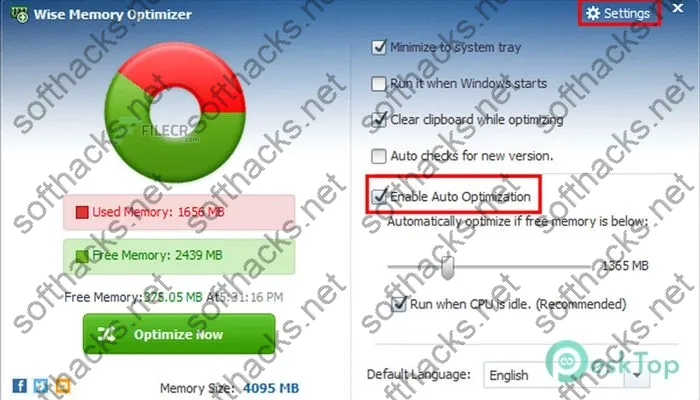 Wise Memory Optimizer Crack